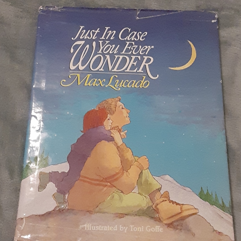 Max Lucado Books - Picture 7 of 15